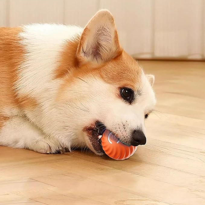 Aktiivinen vierivä pallo Ahdistuksen vastainen automaattinen liikkuva pallo🐶
