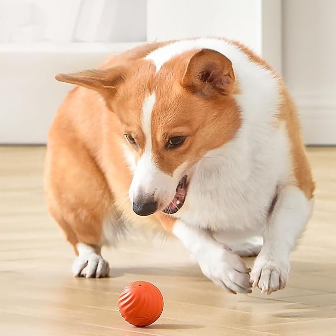 Aktiivinen vierivä pallo Ahdistuksen vastainen automaattinen liikkuva pallo🐶