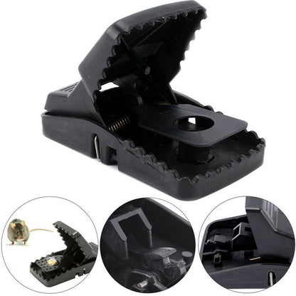 Uudelleenkäytettävät ansat Rottien pyydystäminen