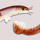 8kpl Angler Dragon Loach Lure 46 Section Soft Bait