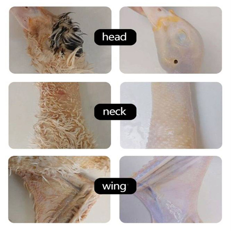 Sähköinen kanojen nyppimiskone