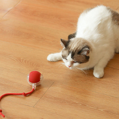 🐱🐶Älykäs Automaattinen Pyörivä Lelupallo