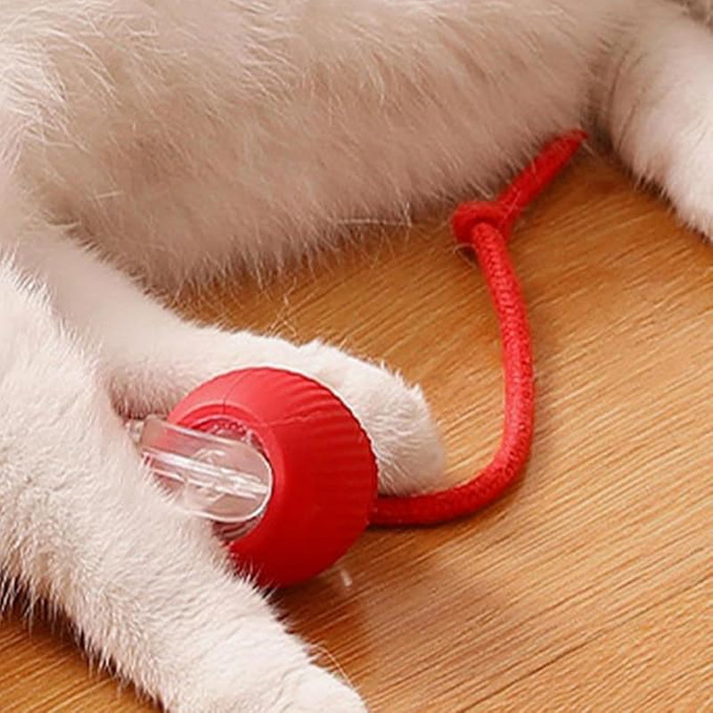 🐱🐶Älykäs Automaattinen Pyörivä Lelupallo