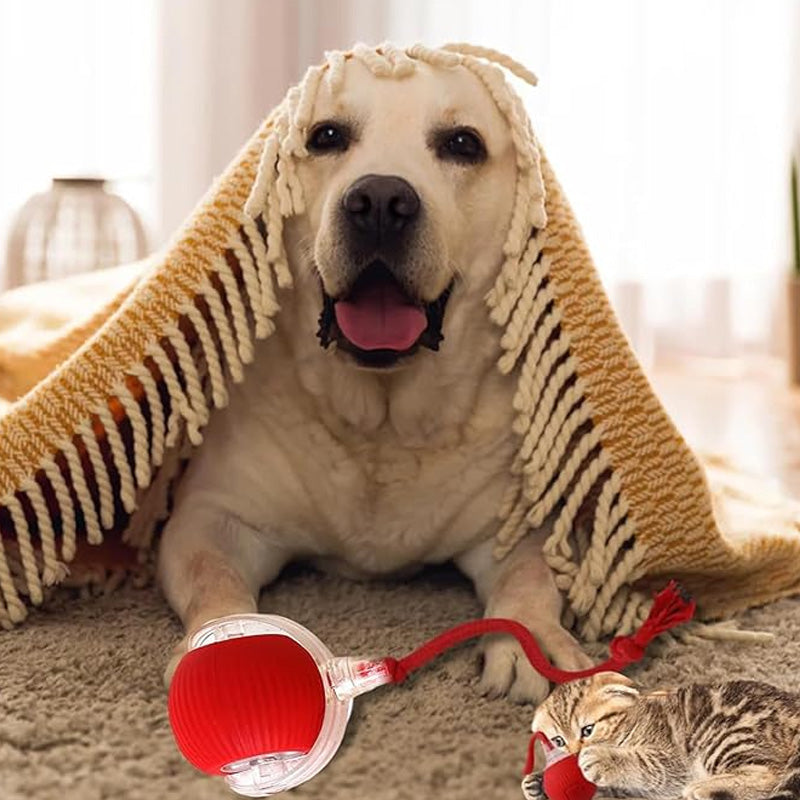🐱🐶Älykäs Automaattinen Pyörivä Lelupallo