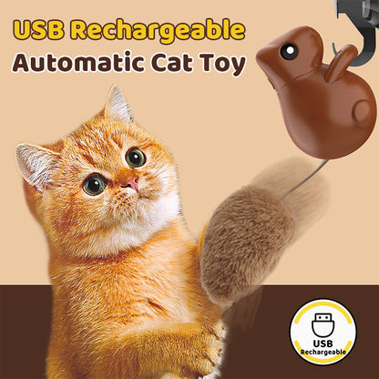 USB-ladattava Automaattinen Kissalelu