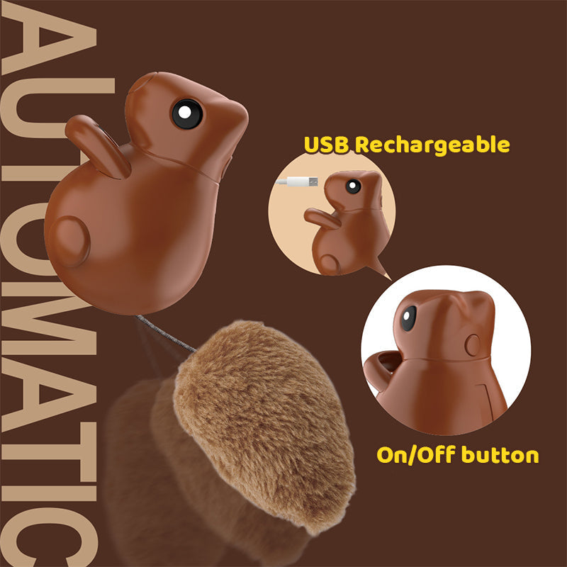 USB-ladattava Automaattinen Kissalelu