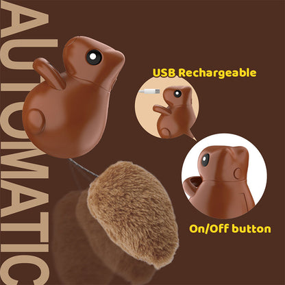 USB-ladattava Automaattinen Kissalelu