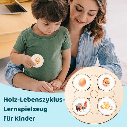 Puinen elinkaari koulutus lelu lapsille