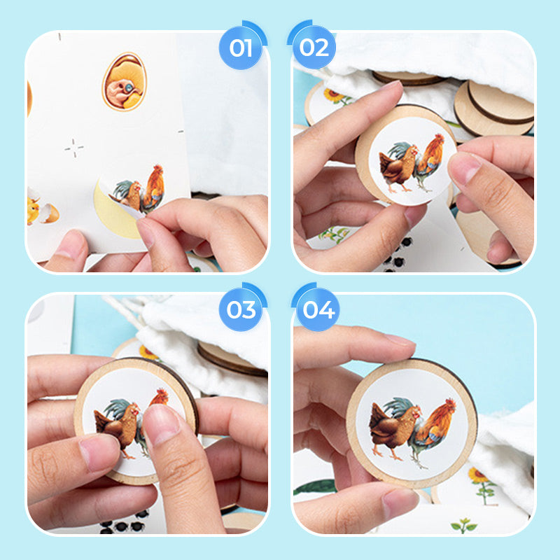 Puinen elinkaari koulutus lelu lapsille