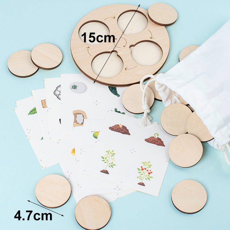 Puinen elinkaari koulutus lelu lapsille