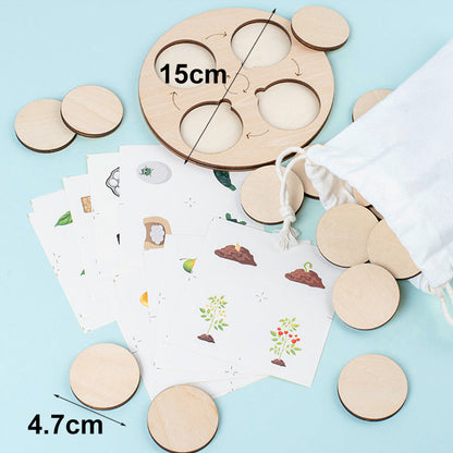 Puinen elinkaari koulutus lelu lapsille