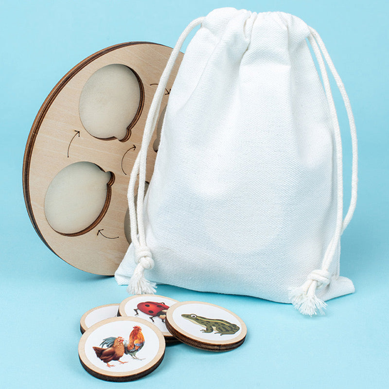 Puinen elinkaari koulutus lelu lapsille