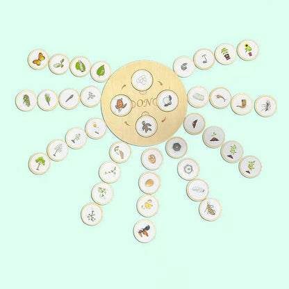 Puinen elinkaari koulutus lelu lapsille