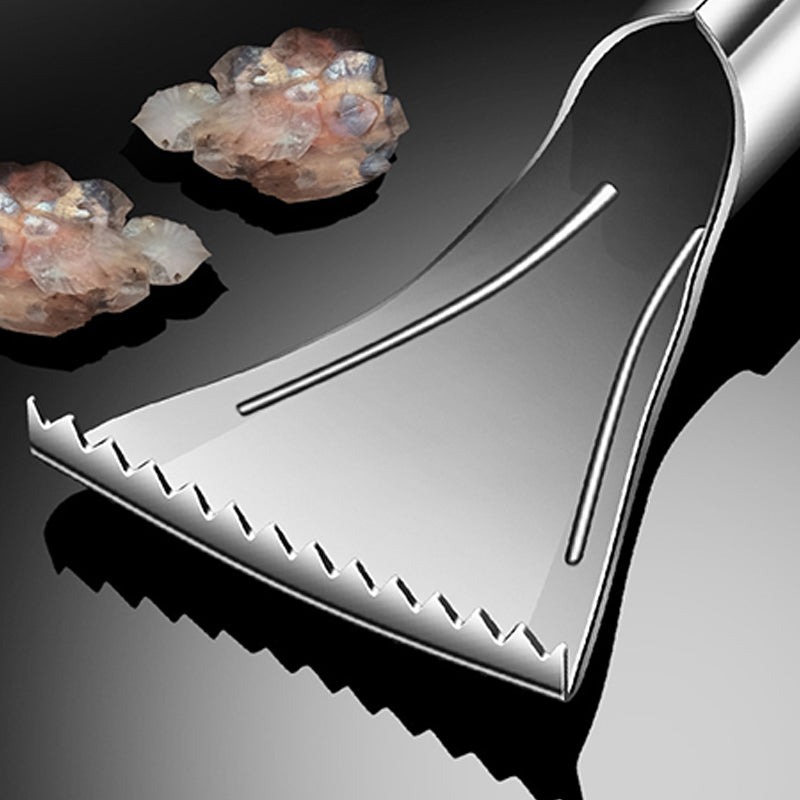 Terävä ruostumattomasta teräksestä valmistettu kalan suomustaja