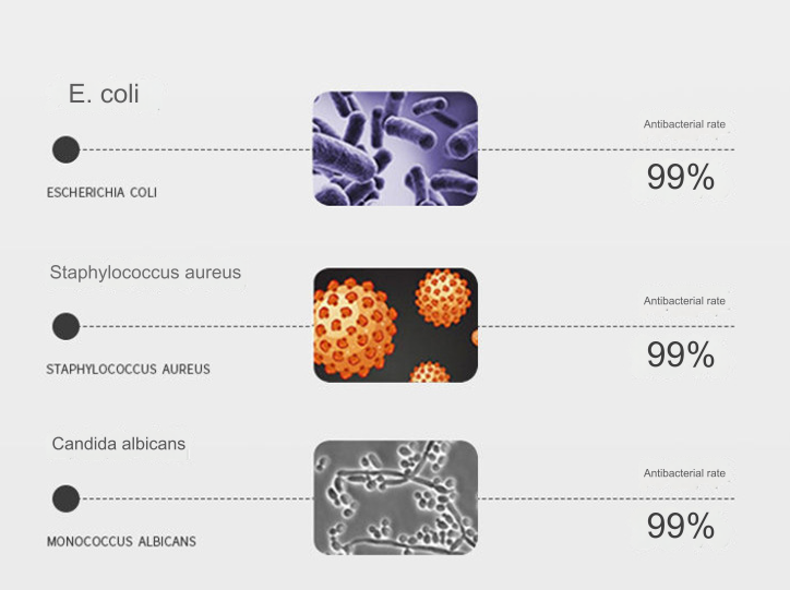 Taxol Antibakterielle Unterwäsche zur Bauchkontrolle mit hoher Taille
