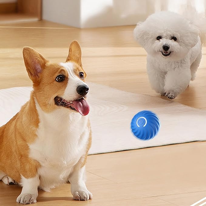 Aktiivinen vierivä pallo Ahdistuksen vastainen automaattinen liikkuva pallo🐶