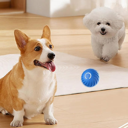 Aktiivinen vierivä pallo Ahdistuksen vastainen automaattinen liikkuva pallo🐶