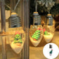 Christmas String Lights
