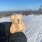 Pieni Taskukarhun Halaus Kortin Kera - Lämmin Lahja